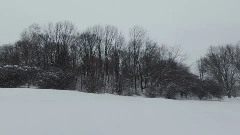 Minimalist Winter Nature Background With Snowfall Stock Footage 323423408