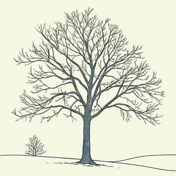Minimalist Winter Tree Bare Branch Vector Illustration Stock Illustration