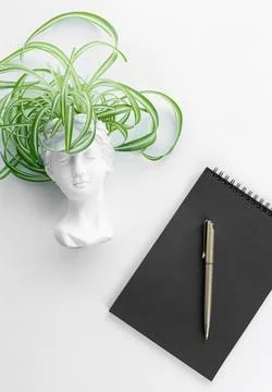 Minimalistic composition featuring a green plant, notebook and pen 스톡 사진