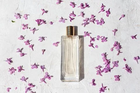 Minimalistic composition of a perfume clear bottle for mock up Stock-Fotos