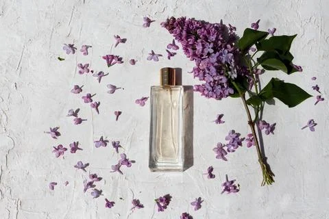 Minimalistic composition of a perfume clear bottle for mock up Foto stock