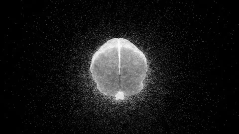 Minimalistic Dynamic Neuronal Particle Brain 3D Animation Stock Footage 280073669