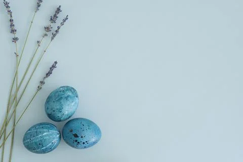 Minimalistic Easter background with blue Easter eggs and dried lavender sprigs Stock Photos