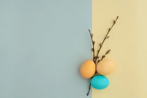 Minimalistic easter background with easter eggs and pussy willow sprigs laid out Stock Photos
