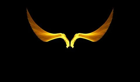Minimalistic Fire Wings. Light Trails. Long Exposure Trail. glowing neon line Stock Illustration