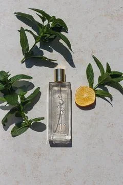 Minimalistic flat lay composition of a perfume bottle Stock Photos