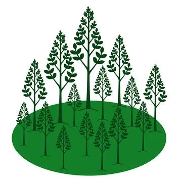 Minimalistic forest with deciduous young trees and green grass. White backgr Illustrazione stock