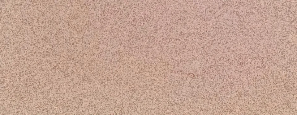 Minimalistic grainy eggshell vector texture. Abstract grunge background. Beige Illustrazione stock