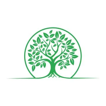 Minimalistic Green Tree Logo Design for Eco Companies Willow tree line art logo  Stock Illustration