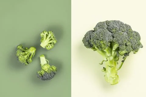 Minimalistic image of broccoli Stock Photos