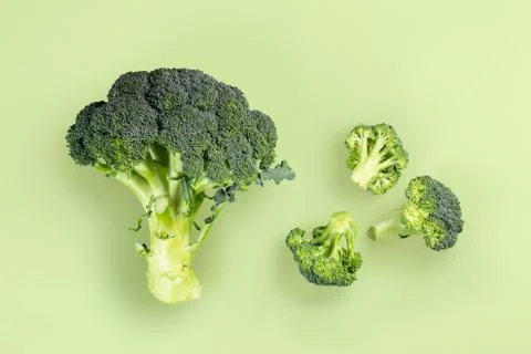 Minimalistic image of broccoli Stock Photos