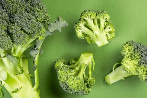 Minimalistic image of broccoli Stock Photos