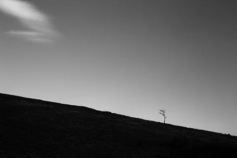 Minimalistic, long exposure view of a distant tree against an almost empty sky Stock Photos