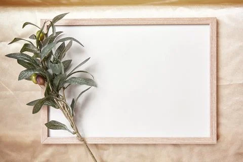 Minimalistic mock - up frame background with olive tree branch Stock Photos