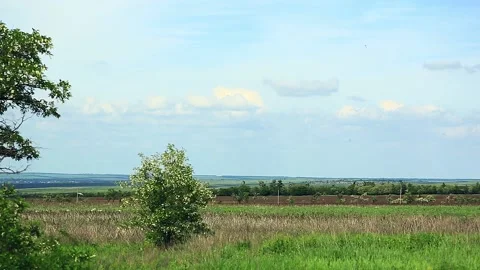 Minimalistic natural landscape. Spring field with cereals Stock Footage 156528145