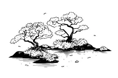 Minimalistic sakura tree landscape hand drawn ink sketch. Engraved style vector Stock Illustration