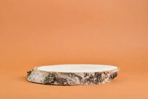 Minimalistic scene with a birch tree on an orange background . Podium for the Foto stock