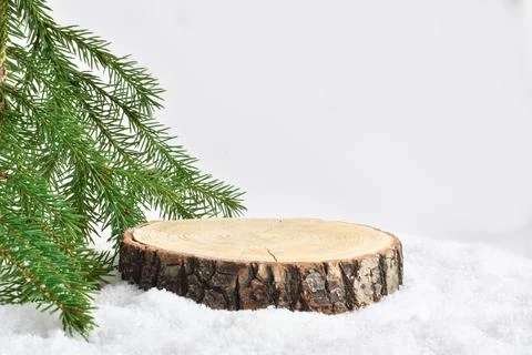 A minimalistic scene of a lying log of a tree with a fir branch on a white ba Foto stock