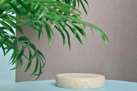 Minimalistic scene of a lying stone on a gray background with foliage. Stock Photos
