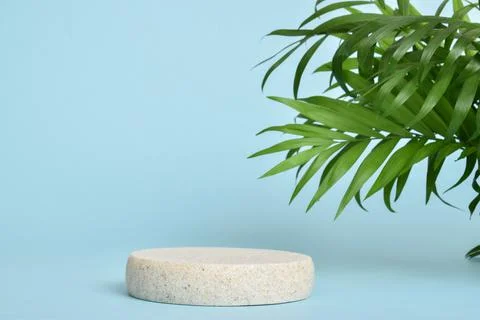 Minimalistic scene of a lying stone on a light blue background with foliage.  Stock Photos