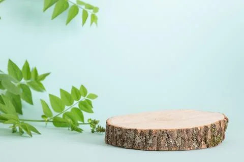 Minimalistic scene of a lying tree on a light blue background with foliage. Foto stock