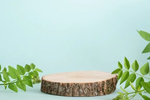 Minimalistic scene of a lying tree on a light blue background with foliage. Stock Photos