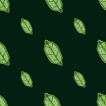 Minimalistic seamless doodle pattern with green vitamin lemon ornament. Black Stock Illustration