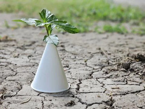 Minimizing the use of paper cups, we can help reduce global warming Foto stock