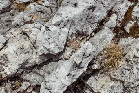 Mining cliff rough surface. Coarse limestone quarry backdrop. Stock Photos