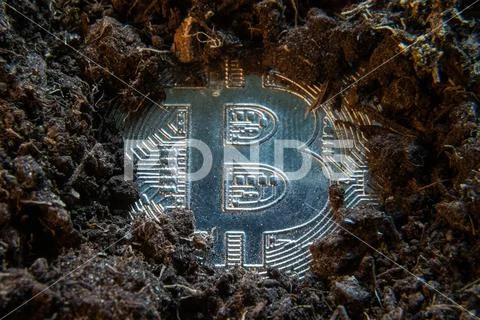 Mining crypto currency - Bitcoin. Online money coin in the dirt ground Stock Photos