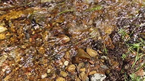 Mining for gold in river Stock Footage 140759997