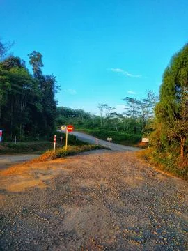 Mining office courtyard object with wind cypresses Stock Photos