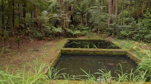 Mining relics, luck at last gold mine, Whangamata, New Zealand 库存影片 147160708