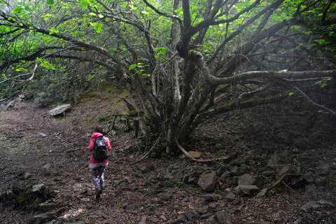Mining trail Via dell'Argento Stock Photos