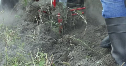 Minitractor tillerblock plows the ground. Stock Footage 220729497