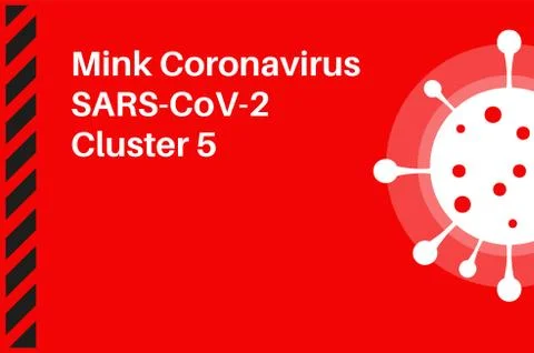 Mink coronavirus SARS-COV-2 Cluster 5 vector illustration on a red background Stock Illustration