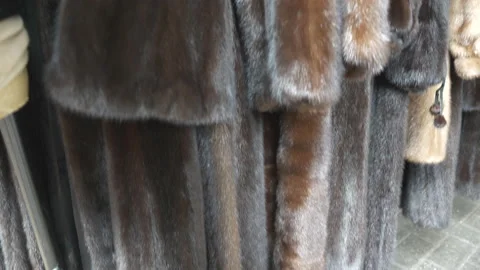 Mink fur coats for display. Stock Footage 111144683