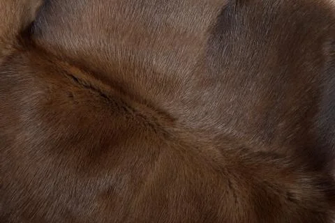 Mink fur Stock Photos