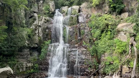 Minnamurra Falls Video stock 145581695