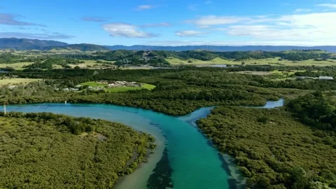 Minnamurra River meanders through green bushland, aerial drone pullback Stock Footage 314308912