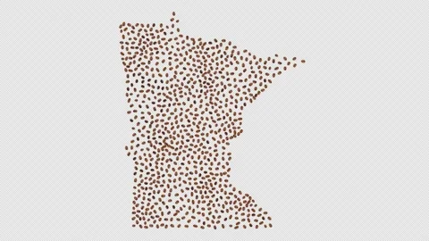 Minnesota Coffee Beans Stock Footage 147697803