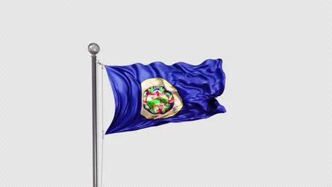Minnesota Flag  Animation Loop Include Alpha 3D Rendering 스톡 동영상 312079719