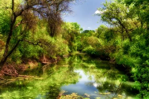Minnesota River in Spring 스톡 사진