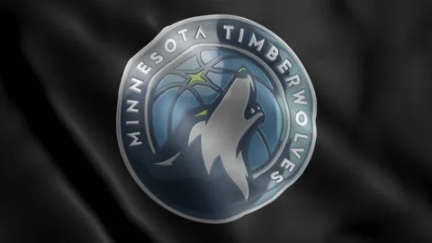 MinnesotaTImberwolves Video stock 133767068