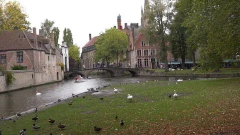 Minnewater park Stock Footage 118677514