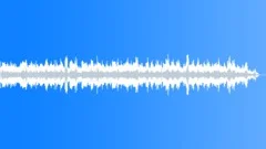 Minor Swelling (sad, emotional, acoustic, guitar) Stock Music