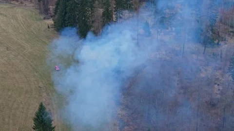 Minor wildfire near forest structure captured from air with flames affectin.. Video stock 334316663