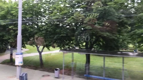 Minsk, Belarus, A close up of a tree Stock-Footage 134481456