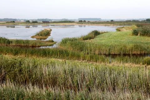 Minsmere RSPB Reserve, Stock-Fotos