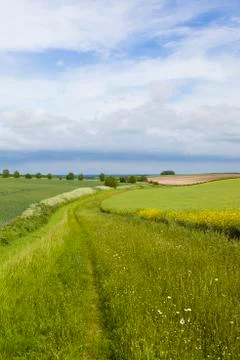 Minster way scenery Stock Photos